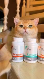 [Hộp 45 viên] Sản phẩm hỗ trợ điều trị sỏi thận Struvite cho mèo UrinoVet Cat Dilution