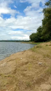 Essen Gondomayit Kuning 30ml: Perawatan Kulit Wajah & Kesehatan