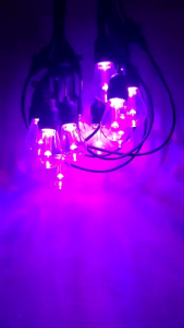 E27 S14 RGB Colour Bulb Led Colour Bulb Mentol Raya