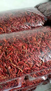 ( 500grm ) CABE TEJA CAPLAK KERING NON TANGKAI KUALITAS SUPER PEDAS