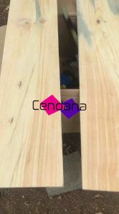 KAYU PINUS ATAU JATI BELANDA BARU BUKAN EKS PALET