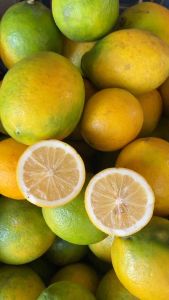 buah jeruk lemon california fresh 1kg murah