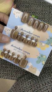 เล็บปลอมสีเจล สั้นพิเศษสีลูกแก้วโฮโลแกรมน้ำตาลสีเปรียวกับรอยดอกเบียบวัน