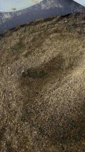 มูลหนอนแมลงบีเอสเอฟ 100%