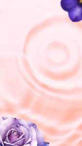 Combo 2 Túi Nước Giặt Xả Deemee 2L Chính Hãng – Thơm Lâu Dịu Nhẹ An Toàn Cho Da Nhạy Cảm – Dùng Cho Máy Giặt Cửa Trước & Cửa Trên