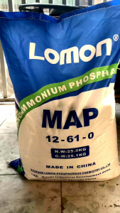 10kg Phân bón mập thân MAP 12-61 Mập chồi Siêu Kích Rễ Tạo tán Ra nhiều hoa