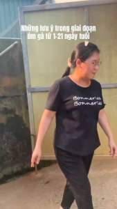 AMPI COLI GOLD – GÓI 100G Hỗ trợ giảm phân xanh phân trắng viêm rốn toi rù sã cánh cho gà vịt heo bê