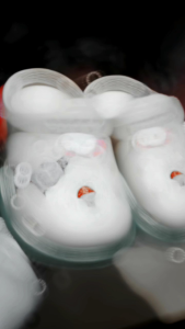 Sandal Anak Labubu Baim