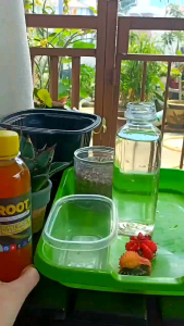 Plant Rooting Agent 250ml / Penggalak Akar