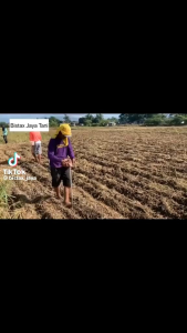 ALAT TANAM JAGUNG DAN BIJI BIJIAN SERBAGUNA jagung kacang tanah kedelai dan biji bijian lain nya