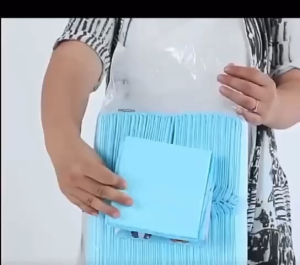 Absorbent Pet Training Pee Pads Disposable Pee Pad Diaper for Dogs and Cats