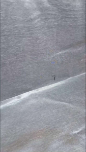 sepatu ZAVISION cowo cewe putih running shoes sepatu sekolah sepatu kerja