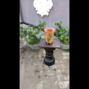 Pot Bonsai Semen Tinggi Unik