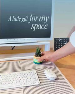 Color Ring(Vòng Sắc Màu) : Chậu gỗ mini Chậu mini độc đáo với thân gỗ tự nhiên kết hợp nhiều lớp vòng màu rực rỡ. Không lo nứt vỡ nhờ độ bền cao thiết kế chống thấm & thoát nước 2 lớp cực tiện lợi. Màu sắc nghệ thuật như một tác phẩm decor.