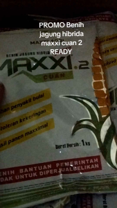 BENIH JAGUNG HIBRIDA MAXXI CUAN 2 KEMASAN 1KG ORIGINAL