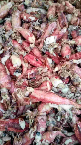 IKAN ASIN CUMI SOTONG BISA COD