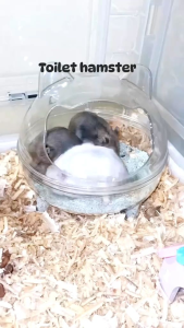 TOILET HAMSTER MODEL KARAKTER TRANSPARAN - KODE#8