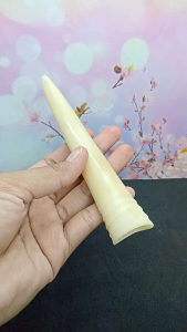 Pipa Once Klokotan Tulang Igaduy Model Taring Spesial L36