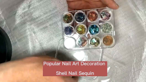 Set xà cừ mảnh vân gỗ 12 màu đắp bột  đắp gel ẩn