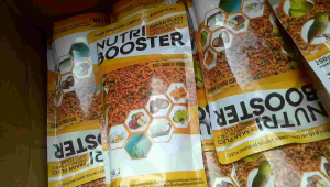 Nutri Booster Pakan Pleci Harian & Lomba 250gram