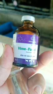 Đặc trị sán lá gan và nội kí sinh trùng trên gia súc nhai lại