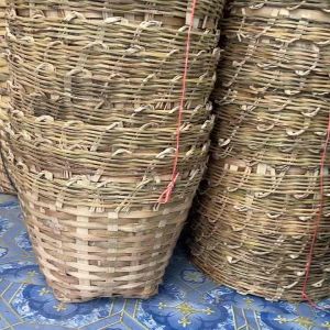 รังไก่20ใบ (ทั้งแถว)