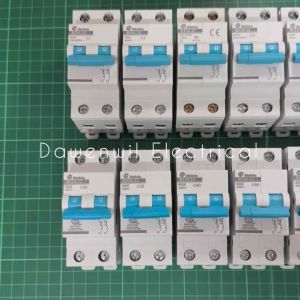 SHIHLIN MCB 2 Pole 1A -125A  Circuit Breaker | Dawenwil Electrical