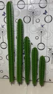 Kaktus Koboy Artifisial: Harga Per Batang