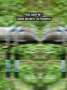 Pisau Sadap Karet NO 1 Sudah Ada Mata Taji Pisaunya