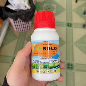 Thuốc trừ sâu SOLO  350sc  100ml -Diệt sâu tận ổ