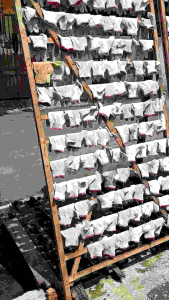 Sarung tangan RajutRecycle/Second Bekas12 pasang