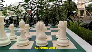 Buah Catur Plastik Premium Import Type Modern Knight Standar Internasional