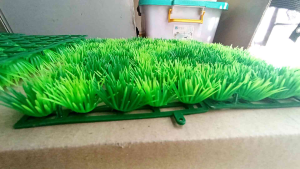 rumput dasar aquarium artificial plastik