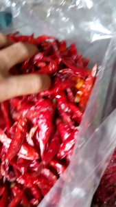 CABE RAWIT MERAH KERING TEJA CAPLAK IMPOR KUALITAS SUPER PEDAS (1Kg)