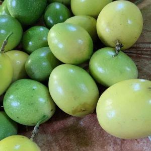 Jual buah markisa kuning segar 500 gram ready-az