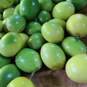 Buah markisa segar 1 kg petik langsung-az