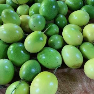 Jual buah markisa kuning segar 1 kg-az
