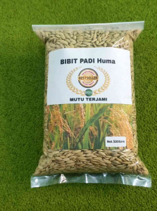 Jual bibit padi huma lokal Tahan hama per bungkus
