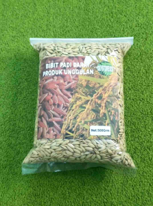 Benih Padi Huma Darat Paket 500 Grm
