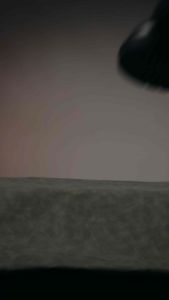 LaSole Shoe Polish: Expert Leather Shoe Care & Shine Protection