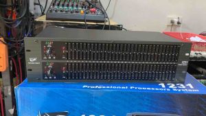 Live EQ-1231 Dual 1/3 Octave Graphic Equalizer Dynamic FIlters 3U