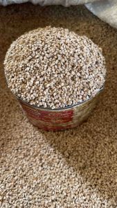 งาขาวดิบ 500 กรัม