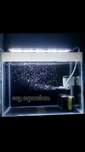 Semi Undergravel Filter Aquarium Aquascape