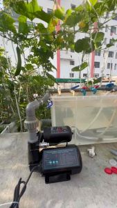 Bơm Tăng Áp Biến Tần – Hút Sâu - Đẩy Cao - Dùng Nước nóng lạnh (công suất trung binh 320W)