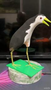 นกกวักยาง ทำจากยางเหนียวไม่แตกหัก ขนาดเท่านกจริง - สินค้าขายดี