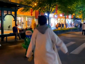 【Ready Stock🇲🇾】Frog Doll Clothes Sell Seed Show Performance Attract Popular Sale Inflatable