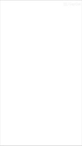 ชุดหมาแมว ลายดอกกุหลาบเหลือง ผ้า cotton 100%