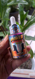 Power Murai Penggacor Burung: Perlengkapan & Perawatan