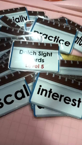 Dolch Sight Words Lvl 5 40pcs Flash Cards LAMINATED ID SIZE