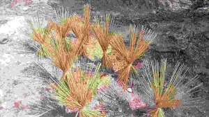 Kerangka Layangan Raut Halus L 25-3mm 100 Pasang